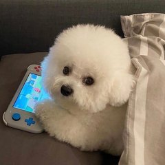 猎魔人和KPL更新