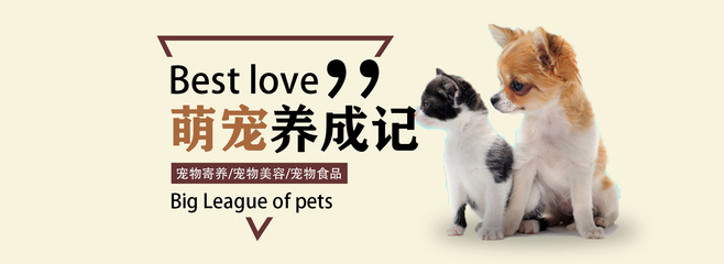 DNF原著小说